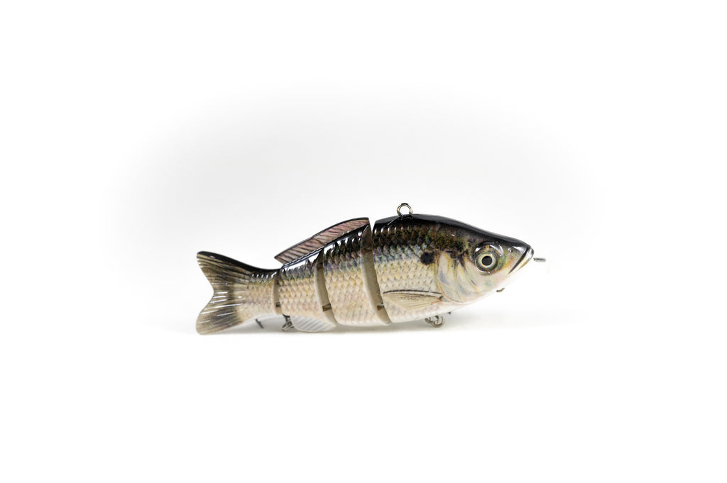 Largemouth Bass – Animated Lure