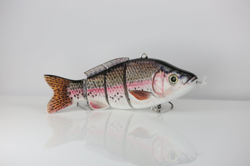 Rainbow Trout – Animated Lure